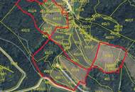 Preisanpassung !! Weingarten mit Landwirtschaft und Altbestand in Kranach, Gemeinde Gamlitz