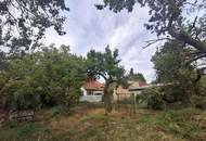 ,,Kleines Haus und großer Obstgarten in Hornstein!"