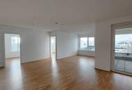 4 Zimmerwohnung zwischen der Donau und dem Wiener Prater