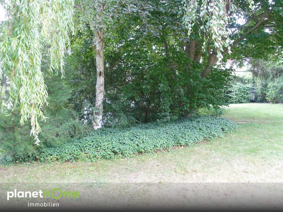 Traumhaftes Grundstück am Küniglberg