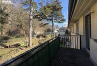 Neuwaldegg - charmant und außergewöhnlich - DG-Wohnung mit Sonnenterrasse und Balkon