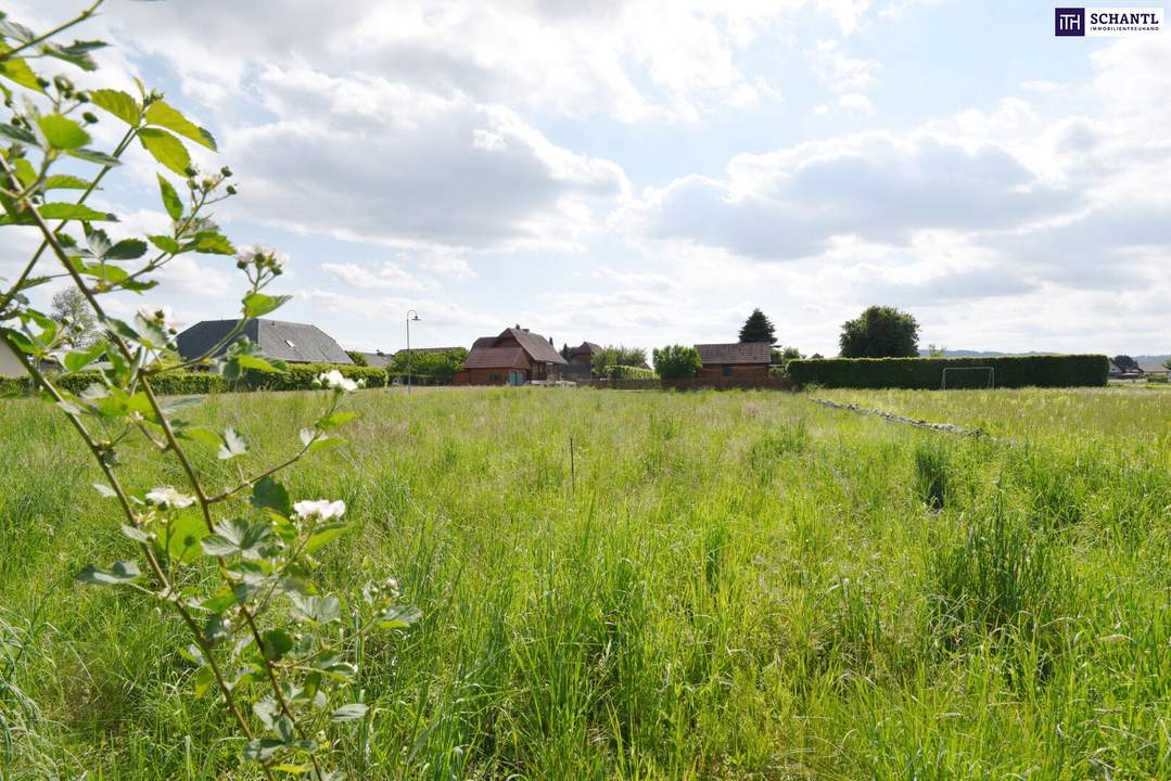 BAUTRÄGER aufgepasst! Baubewilligtes Projekt mit 4 Doppelhaushälften in gefragter Lage! SOFORT loslegen!