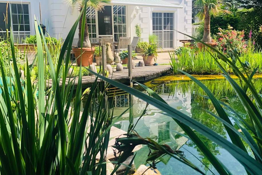 Direkt vom Eigentümer - Fontana: Vollklimatisiertes Traumhaus mit Lift & Schwimmteich im uneinsehbaren Garten (Provisionsfrei), Haus-kauf, 1.490.000,€, 2522 Baden