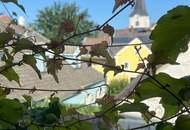 Weitra: Wohn- und Geschäftshaus mit einzigartiger Fassade