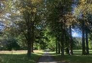 WOHNEN IM SCHLOSS mit idyllischem Parkblick, einem Pferdeparadies und traumhafter Umgebung