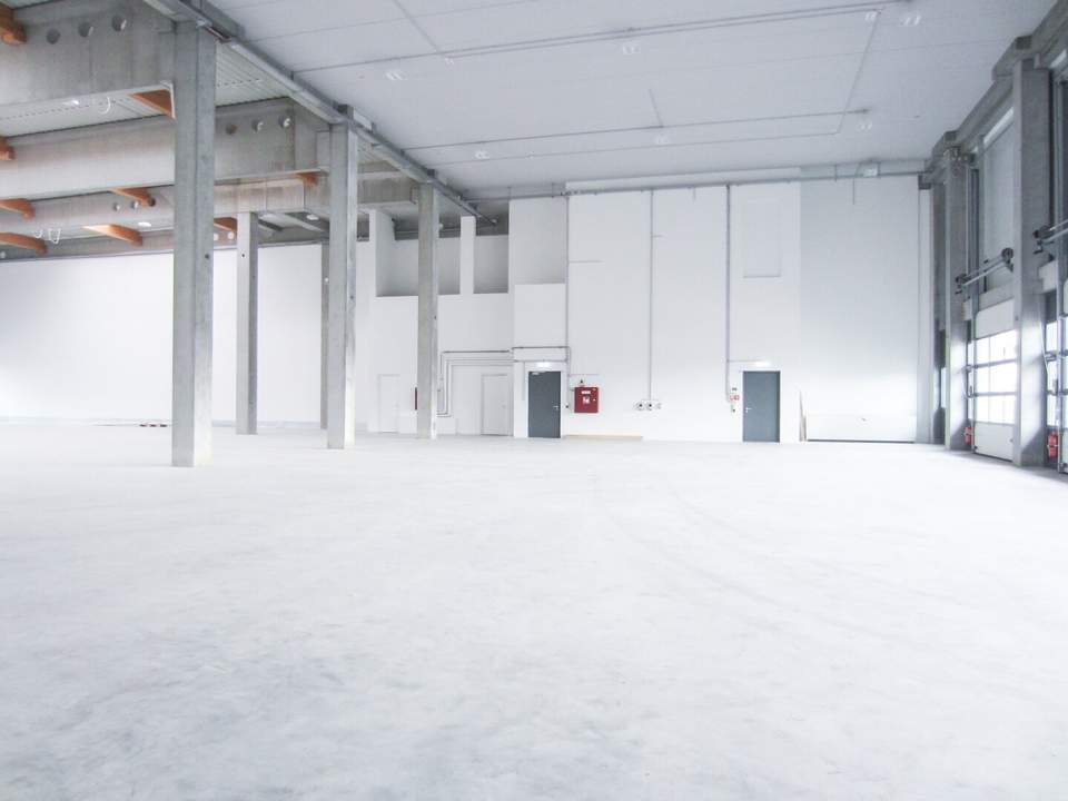 Lagerhalle 224 m2 + Büro 341 m2 Kombination südlich von Wien, in Wr. Neudorf