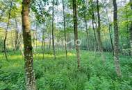 Erholung pur im eigenen Wald mit Bach und Wiesen nähe Amstetten