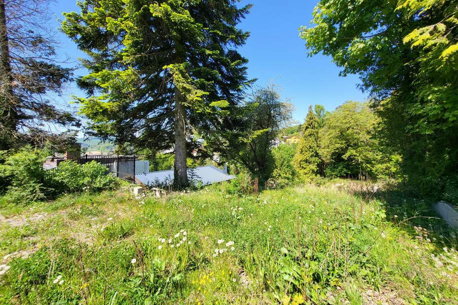 "NEUER PREIS!" AUFGESCHLOSSENER BAUGRUND IN RUHIGER WALDRANDLAGE, Grund und Boden-kauf, 450.000,€, 3003 Sankt Pölten(Land)