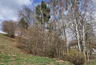 Aussichts-Hang-Baugrundstück aufgeschlossen, OHNE Bauzwang und OHNE Bebauungsplan!