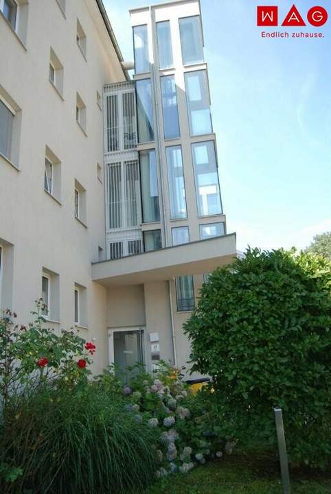 2-Zimmer-Wohnung in Linz/Bindermichl mit Balkon und Lift ab 1. November verfügbar! ACHTUNG die Wohnung wird im Oktober 2026 noch saniert!