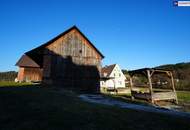 HISTORISCHER HOF IN DER GRÜNEN STEIERMARK: Ein Platz für große Pläne – von Landwirtschaft bis Pferdeparadies!