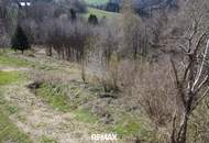 Zwei zusammenhängende Baugrundstücke mit beeindruckendem Weitblick in toller Hanglage