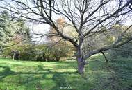 Haus in Altlengbach im Grünen mit großem Grund