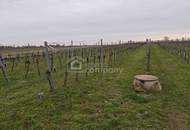 Großes arrondiertes Ackergrundstück ( fast 2ha ) in Illmitz, Burgenland