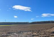 GROSSE landwirtschaftliche Flächen (ca. 27 ha!) und ein Waldgrundstück! Auch Teilkauf möglich! BEZIRK OBERWART!
