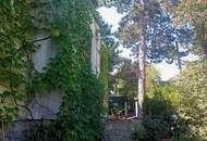 Natur pur , tolles Haus