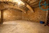 WERKSTATT / LAGERFLÄCHE| NÄHE ALSER STRASSE