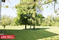 Helle und großzügige 3,5-Zimmer-Wohnung mit Blick ins Grüne