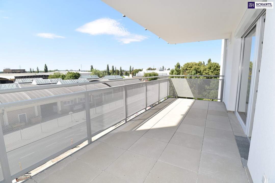 Vom Feinsten! 3 Zimmer mit großem West-Balkon. Was wollen Sie mehr?