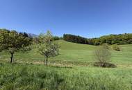 Besonderes Haus in idyllischer Lage: 6,4 ha Anwesen für Ruhesuchende mit Weitblick und Natur pur!
