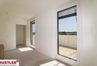 4-Zimmer-Dachterrassenwohnung mit einem unverbauten Blick auf die Traisen.