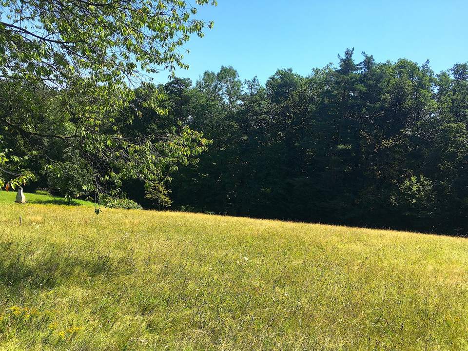 BESONDERHEIT: 2.744 m² Grundstück für Naturliebhaber in absoluter Ruhelage in 8046 Graz-St.Veit!