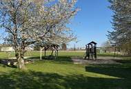 Ganzjährig bewohnbares Kleingartenhaus im Grünen- ideal für 1-2 Personen