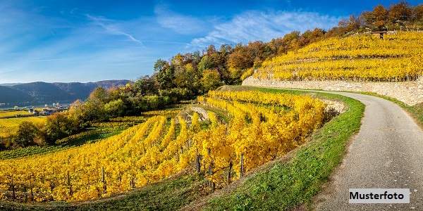 Großzügiges Weingut mit umfangreichen Hallen- und Lagerflächen