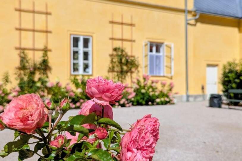 Altbau, Wohnung-miete, 1.826,00,€, 4820 Gmunden