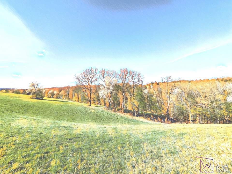 Mitten im Wienerwald: Baugrund mit Altbestand und Erweiterungspotenzial