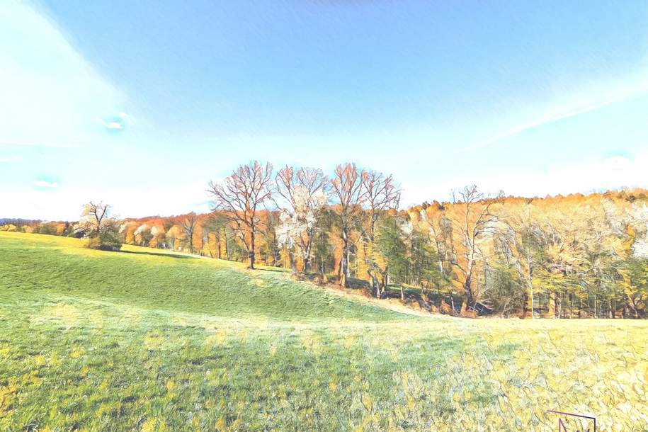 Mitten im Wienerwald: Baugrund mit Altbestand und Erweiterungspotenzial, Grund und Boden-kauf, 698.000,€, 2384 Mödling