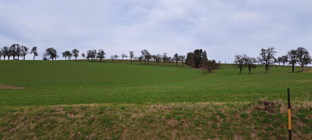 Platz für Ihre Träume! Baugrund in St. Johann in Engstetten/St. Peter/Au.