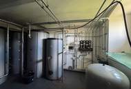 Schlossanwesen mit über 10 ha Grund, mit bestehenden Stallungen, Gehegeflächen und Infrastruktur für Tierhaltung- ideal für Käufer mit Platzbedarf, Tiere und Naturbezug!