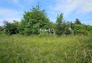 Platz für Wohnträume – großes, erschlossenes Grundstück mit Altbestand - für Familie oder Projektbau