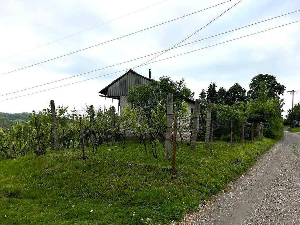 Haus („Pinze“) mit Sicht über die Weinberge 1 Stunde vom Balaton Ungarn
