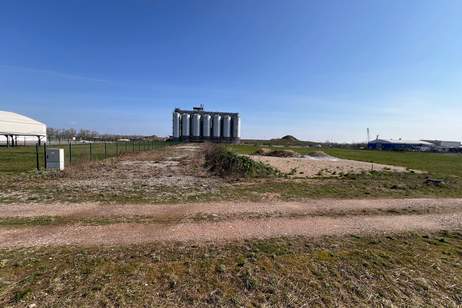 Industriegrundstück in 2473 Potzneusiedl, Twin-City-Businesspark, Kauf oder Miete (Provisionsfrei), Grund und Boden-legalform.pacht, 8.000,00,€, 2473 Neusiedl am See