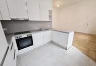 Stilvolle Altbauwohnung 232m² - 6 Zimmer - mit modernem Komfort in zentraler Lage