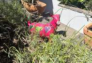 Sonnige großzügige Doppelhaushälfte - 5 Zimmer - toller Garten