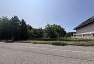 Grundstück mit Altbestand