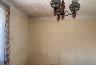 Handwerkerkönig gesucht! Abbruchobjekt, Bauland, Wiese und Wald!