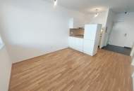 Loggiawohnung mit 2 Zimmern, hochwertige Ausstattung