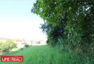 Vielseitiges Grundstück in wachstumsstarker Region