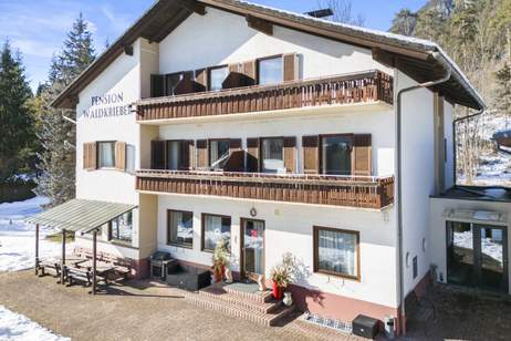 Top-Investment Pressegger See: Pension mit 12 Zimmern + 4 Neubau-Apartments (2020), Gewerbeobjekt-kauf, 2.160.000,€, 9620 Hermagor