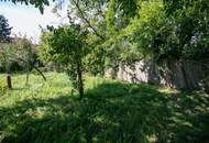 Historisches Winzerhaus in Langenlois