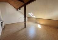 Familienidyll in Langenzersdorf - Haus und Garten vor Wien