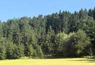 Wald- und landwirtschaftliche Nutzflächen