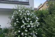 Exklusive Villa mit Möglichkeit für Praxis oder Office in absoluter Ruhelage am Waldrand mit Pool! Nähe Wien