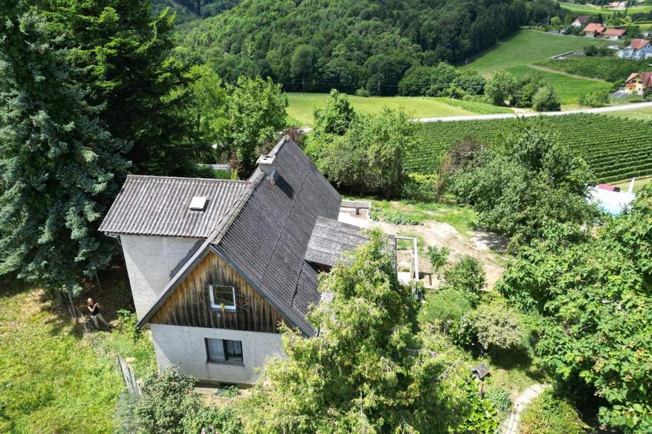 Traumhafte Aussichtslage in der Steiermark - Einfamilienhaus mit riesen Potenzial, Haus-kauf, 269.000,€, 8442 Leibnitz