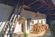 Wunderschöner Dreikanthof in Ruhelage mit Reithalle