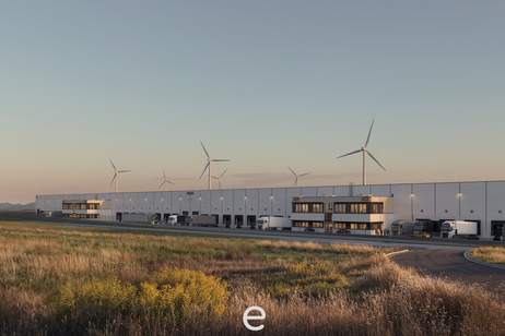 Direkt an der Grenze zwischen Österreich, Slowakei und Ungarn I Lager- und Produktionshalle ab 3.500 m² zu mieten, Gewerbeobjekt-miete, 670.517,85,€, 2421 Neusiedl am See